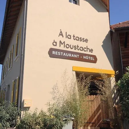 Hotel A La Tasse A Moustache Thonon-les-Bains