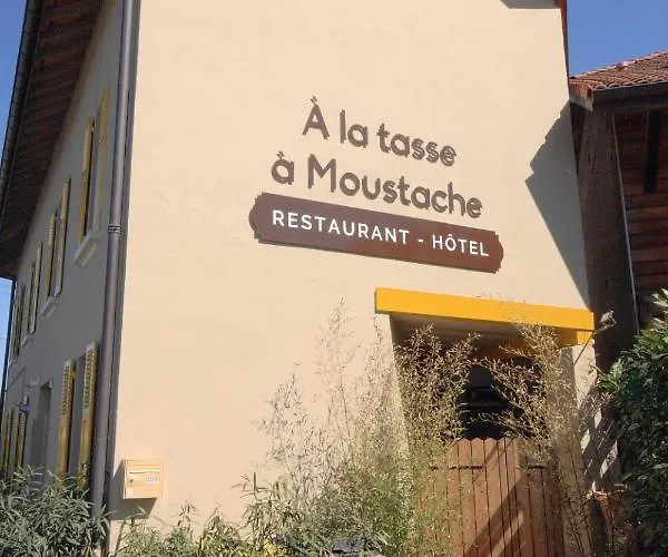 Hotel A La Tasse A Moustache Thonon-les-Bains